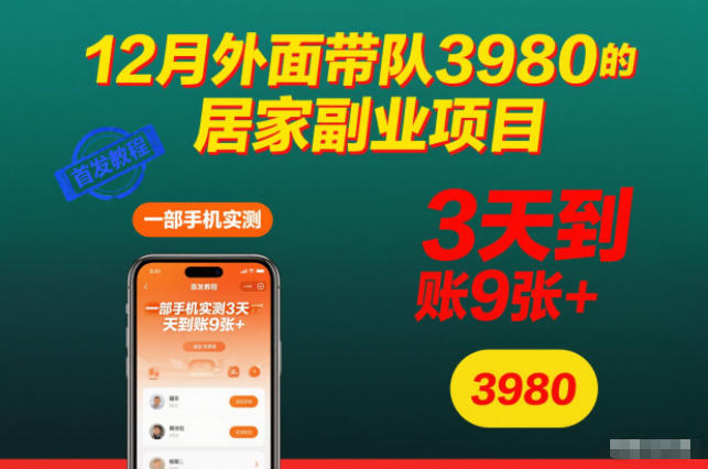 12月外面带队3980的居家副业项目,一部手机实测3天到账9张+,首发教程【揭秘】-慧阅轩