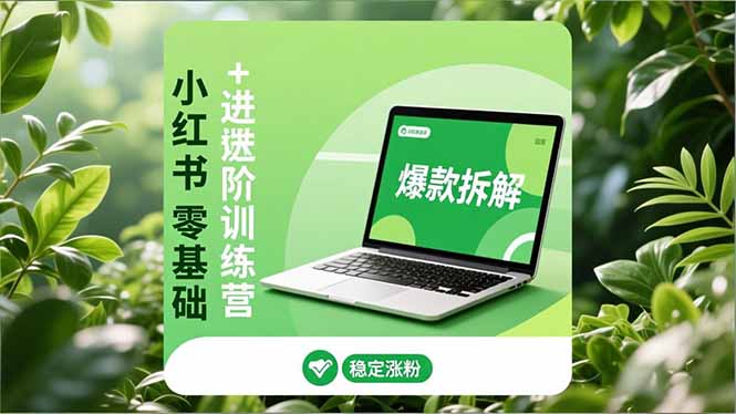小红书零基础+高阶训练营:安全养号、爆款拆解、长效运营,实现稳定涨粉与变现-慧阅轩