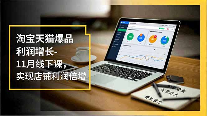淘宝天猫爆品利润增长-11月线下课,免费流量、付费放大、费比管控,实现店铺利润倍增-慧阅轩